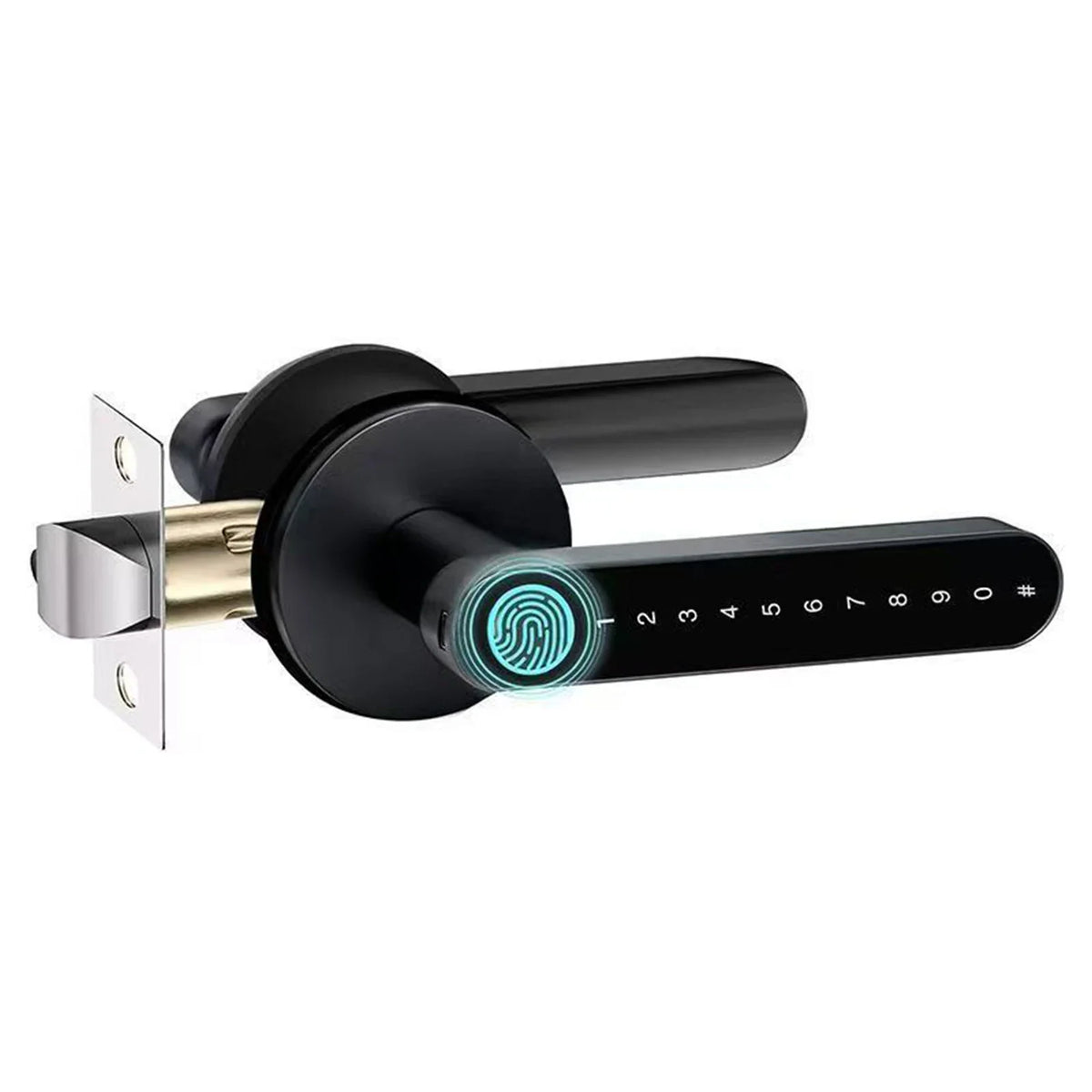 Fingerprint Door Lock with Handle Keyless Entry Door Lock with App Control/Key/IC Card for Home Hotel Office Apartment Bedroom